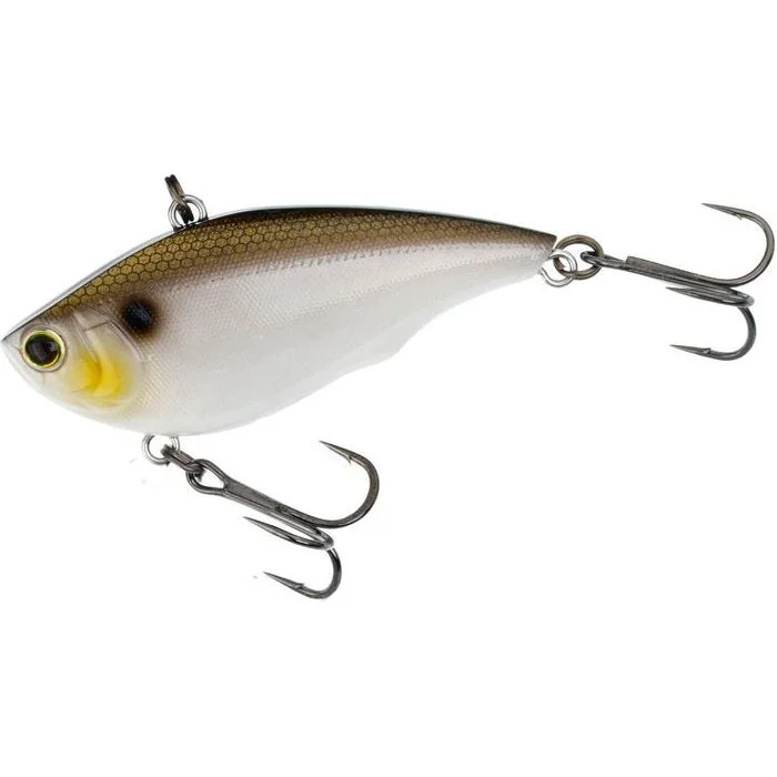 Gizzard Shad