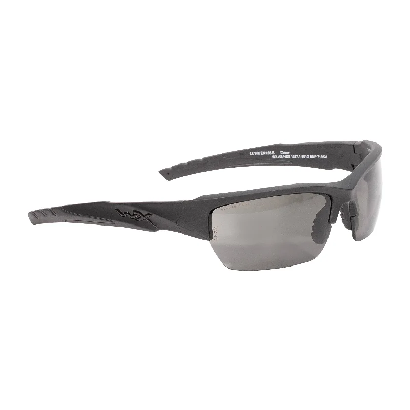 Glasses Valor gray matte